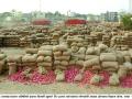 मुंगसेच्या व्यापाऱ्याची जमीन सरकार जमा - Marathi News |  Government deposits of mangsee traders' land | Latest nashik News at Lokmat.com